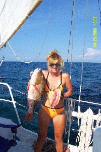 Ang's Mutton Snapper and Conch
