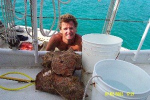 Clarencetown Conch 45ft