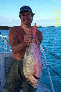 Kenn's Mutton Snapper