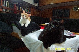 Summer and Hurricane